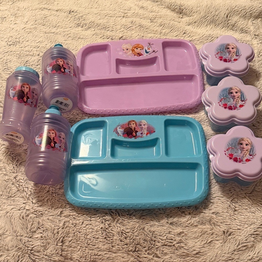 Disney Frozen 2 Zak Designs BPA Free Plate Water Bottle Snack Container 8pc Set